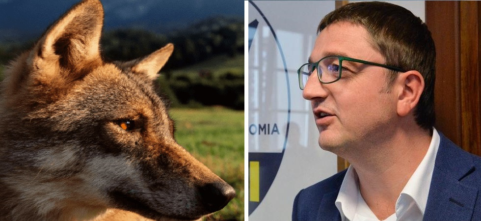 La Leal deposita un ricorso contro la rimozione dei due lupi: "Così si rischia l'incremento degli attacchi al bestiame"